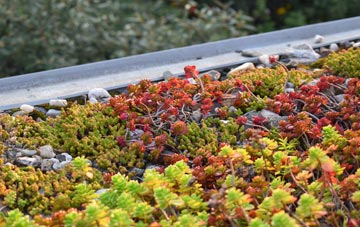the cost of Craigearn green roof installation