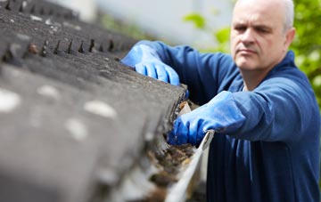 cleaning and inspecting Craigearn roofs