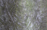 Craigearn fibreglass roof work